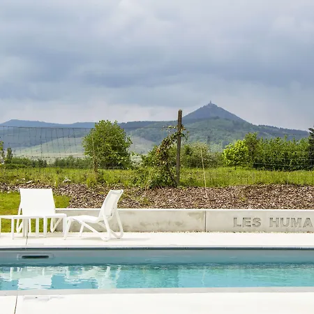 Western Restaurant Les Humanistes Proche Route Des Vins 塞莱斯塔