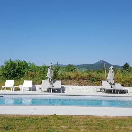 Western Hotel&restaurant Les Humanistes Colmar Nord Hotel