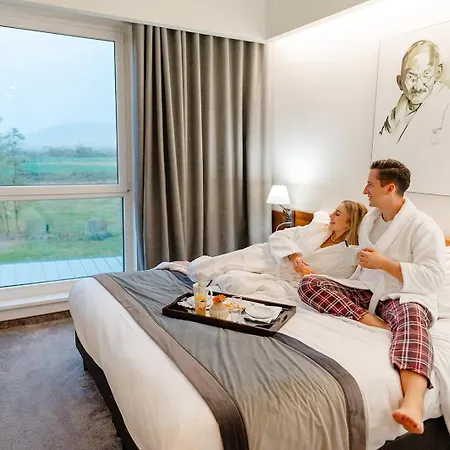 Western Hotel&restaurant Les Humanistes Colmar Nord 4* Sélestat