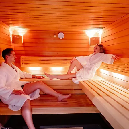 Hotel Western Hotel&restaurant Les Humanistes Colmar Nord 4*