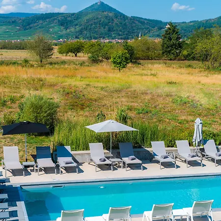 Western Restaurant Les Humanistes Proche Route Des Vins 酒店 塞莱斯塔