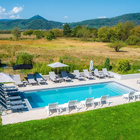 Western Restaurant Les Humanistes Proche Route Des Vins 塞莱斯塔