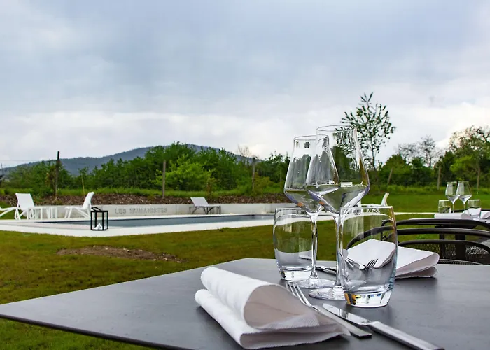 Western Restaurant Les Humanistes Proche Route Des Vins Sélestat