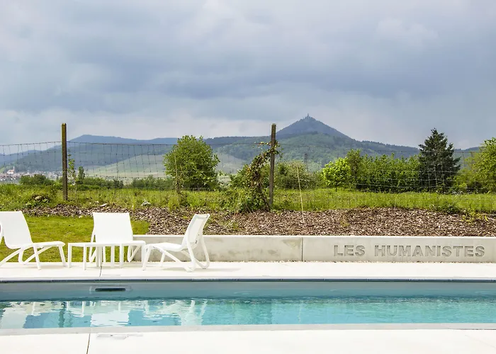 Western Restaurant Les Humanistes Proche Route Des Vins Sélestat