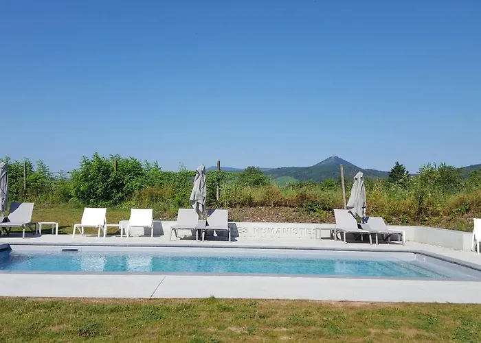 Western Restaurant Les Humanistes Proche Route Des Vins Hotel