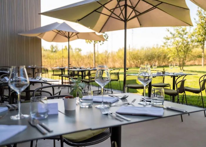 Western Restaurant Les Humanistes Proche Route Des Vins Sélestat