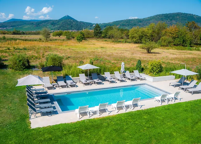 Western Restaurant Les Humanistes Proche Route Des Vins Sélestat